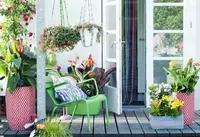 7 zomertips voor een fleurig terras en balkon