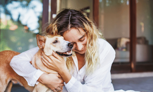 Lieve hond in Voorschoten