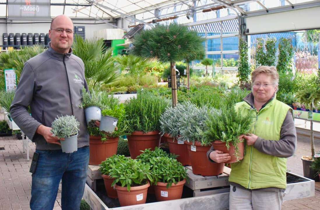 Wordt u onze collega? | Tuincentrum de Mooij