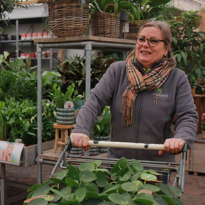 Wordt u onze collega? | Tuincentrum de Mooij