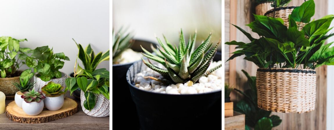 Gestyled en wel: plant pot combinaties