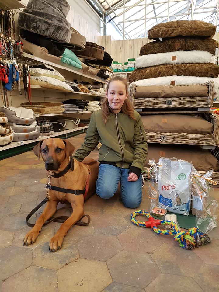 pik Denemarken Hertogin Op zoek naar een dierenwinkel in de buurt van Leiden?