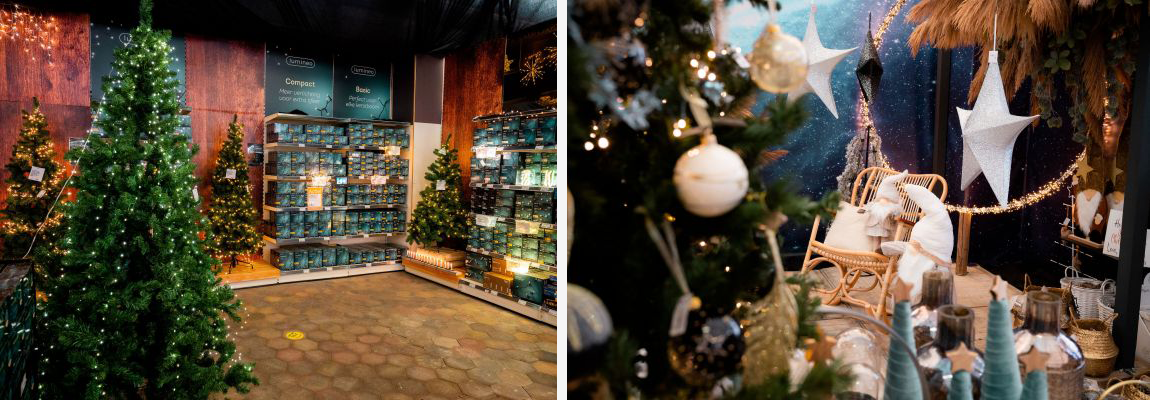 Kerstboomverlichting | Tuincentrum de Mooij Kerstboomverlichting | Tuincentrum de Mooij