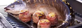 4 juni Demonstratie Weber BBQ