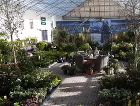 Gratis tuinadvies in de Wintertuin