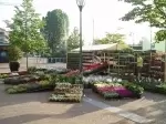 Plantenmarkt Lange Voort