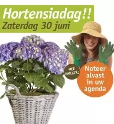 Zaterdag 30 juni Hortensiadag