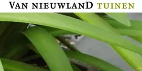 Tuinadviesdag 15 juni