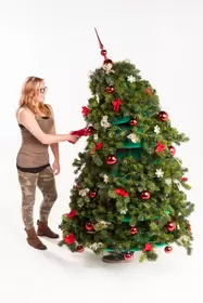 Levende kerstboom