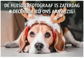 Met je huisdier op de foto