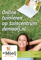 Online bestellen