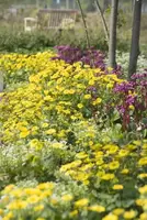 Tips voor een prachtige en toch onderhoudsarme tuin