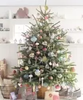 Tips om uw kerstboom mooi te houden