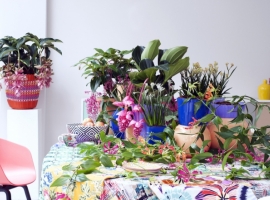 Bloeiende kamerplanten