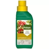 Anthurium voeding 250ml