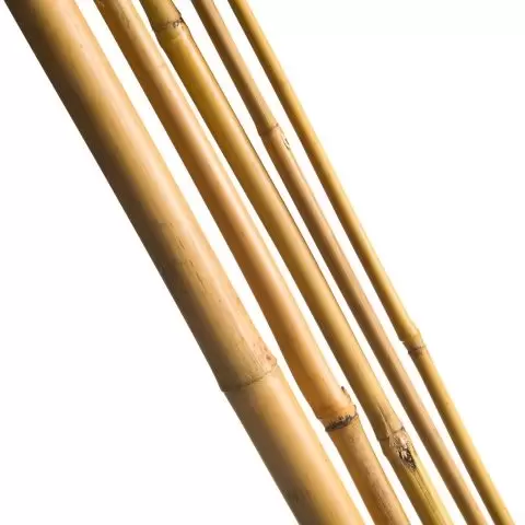 Bamboestok l60cm d6-8mm 10st