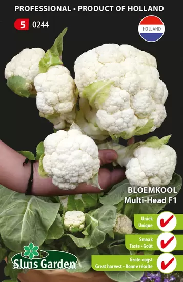 Bloemkool Multi-Head F1