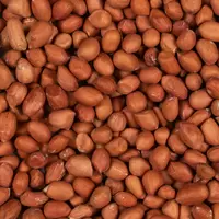 DELI NATURE Peeled peanuts  850gr - afbeelding 2