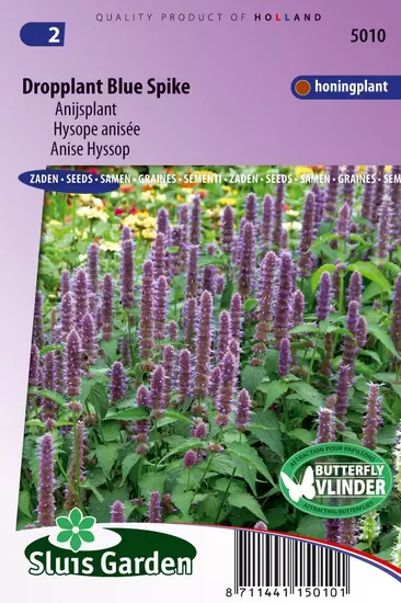 Dropplant Blue Spike (Agastache)