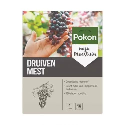 Druiven voeding 1kg