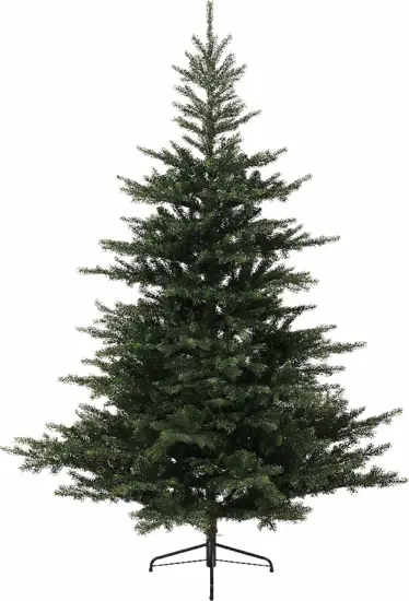 Grandis fir 240 cm