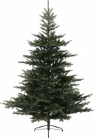 Grandis fir l300cm groen