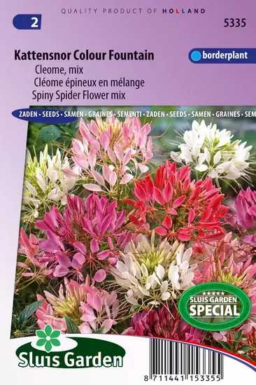 Kattensnor Colour Fountain mix (Cleome)