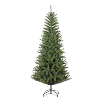 Kerstboom carmanah slm ld d100h215cm grn