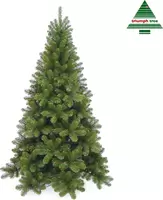 Kerstboom tuscan h120d81cm groen