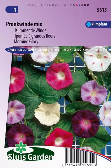 Klimmende Winde Choice Mixed (Ipomoea)