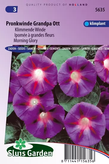 Klimmende Winde Grandpa Ott (Ipomoea)