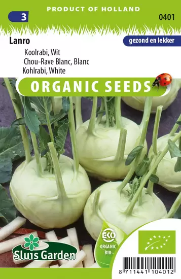 Kohlrabi Lanro blanc