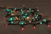 Led ivy 500l/l12m multi kerst zwart
