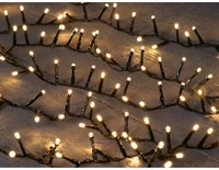 Led ivy 500l/l12m warmwit zwart