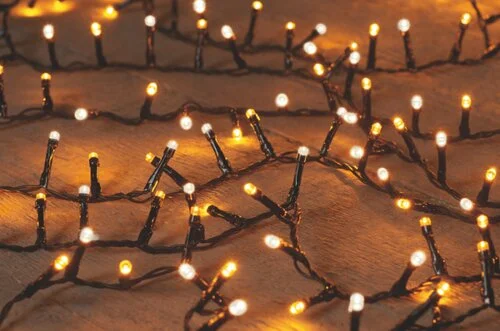 Led ivy 500l/l12m ww+cl zwart