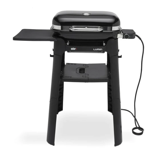 Lumin black w/stand, elektrisch