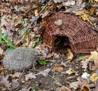 NATUURMONUMENTEN Egelmand groot l51.5b38h21 - afbeelding 2