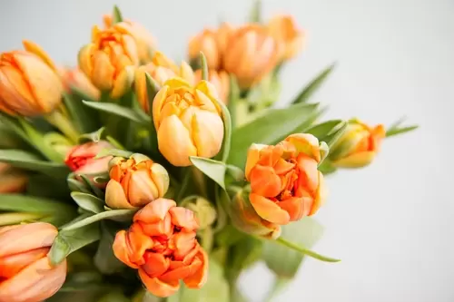 Online bloemen bestellen