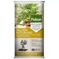 Palmengrond rhp 10l
