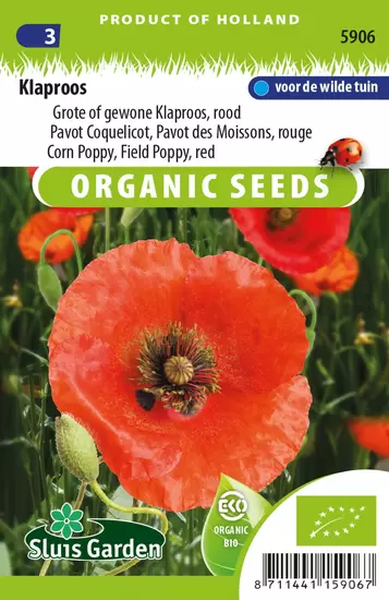 Papaver Red Corn Poppy (Klaproos)