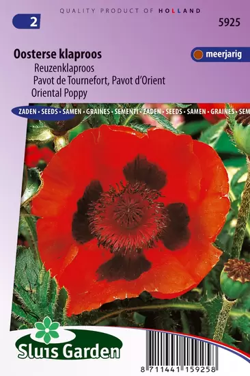 Papaver rood (Oosterse Klaproos)