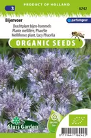 Phacelia, drachtplant en groenbemester