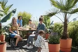 Plantenbakken en bloempotten