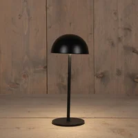 Portable tafellamp 22x9.5cm zwart