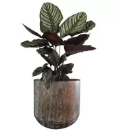 Pot lian d15h16cm koper - afbeelding 2