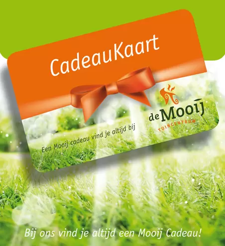 Cadeaukaart € 10,-