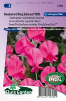 Reukerwt King Edward the 7th 1903 (Lathyrus)