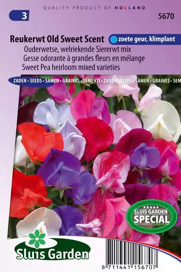 Reukerwt Old Sweet Scent Mix (Lathyrus)