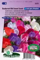 Reukerwt Old Sweet Scent Mix (Lathyrus)