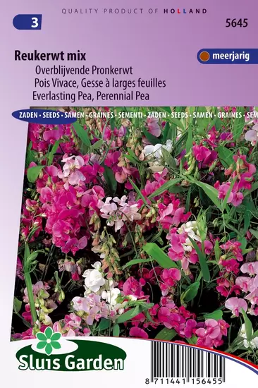 Reukerwt overblijvende mix (Lathyrus)